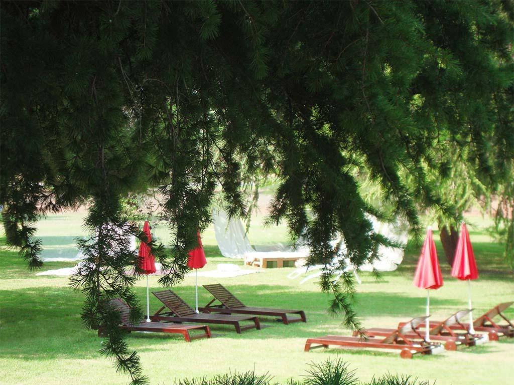 Hotel San Camilo Navarrete Extérieur photo