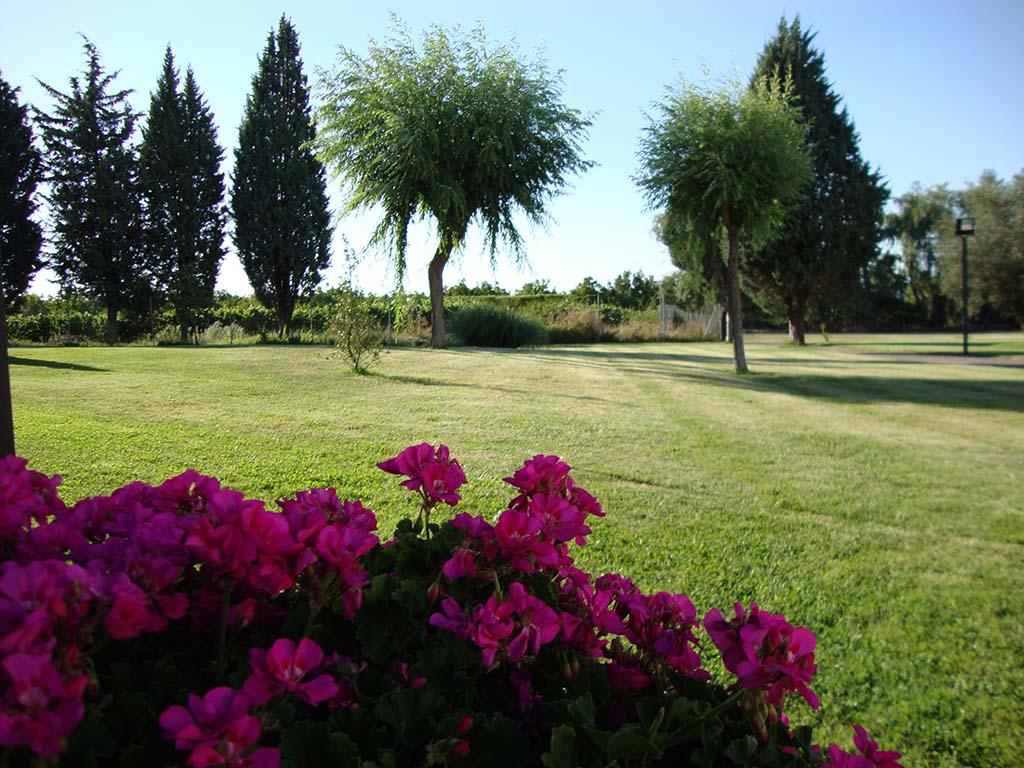 Hotel San Camilo Navarrete Extérieur photo
