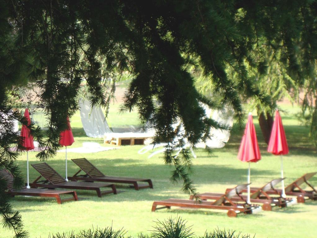 Hotel San Camilo Navarrete Extérieur photo